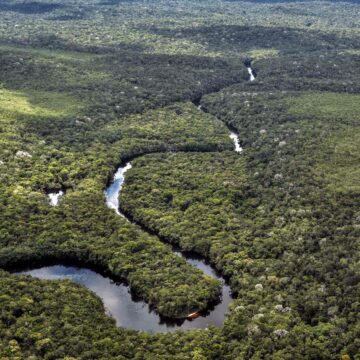 Baby among four children found alive in Amazon 17 days after surviving plane crash