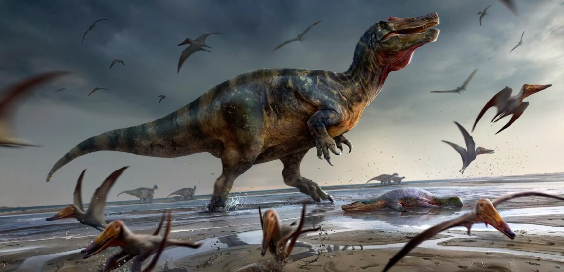 A variety of spinosaur species roamed throughout the Cretaceous in Britain

