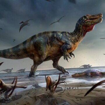 A variety of spinosaur species roamed throughout the Cretaceous in Britain

