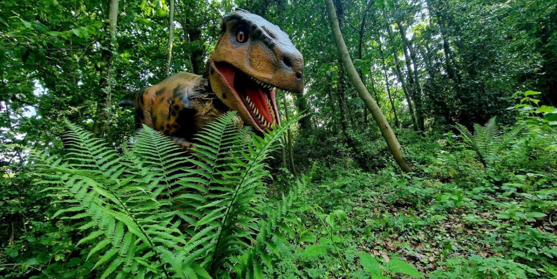 Chester: The Dinosaur Adventure will take place at the Manor this summer

