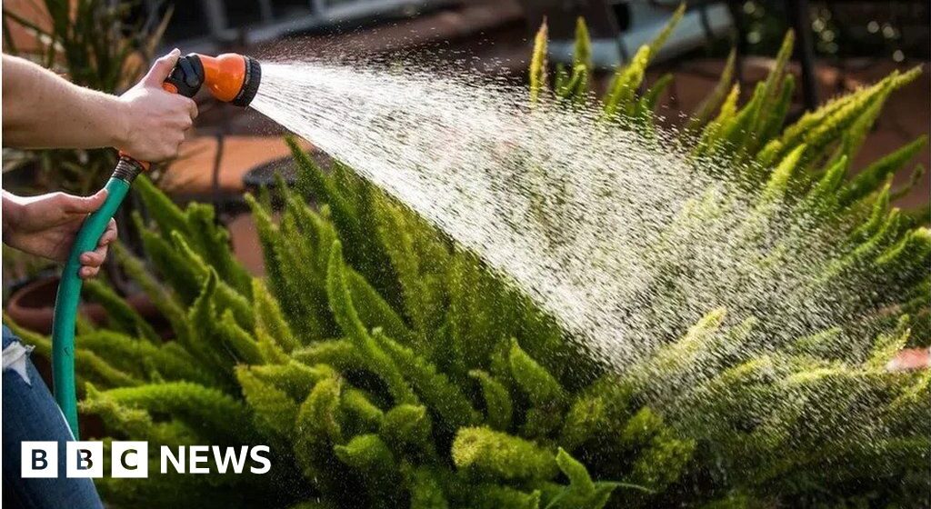 Hose ban in Kent and Sussex announced amid water shortages

