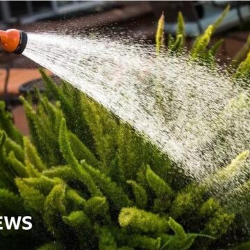 Hose ban in Kent and Sussex announced amid water shortages

