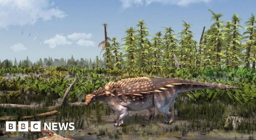 Isle of Wight: New dinosaur species discovered

