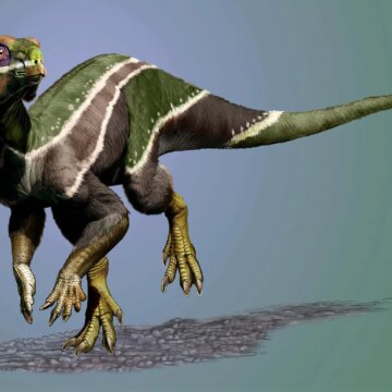 The newly discovered Ianni dinosaur may have been the "last gasp" of the species on a changing planet

