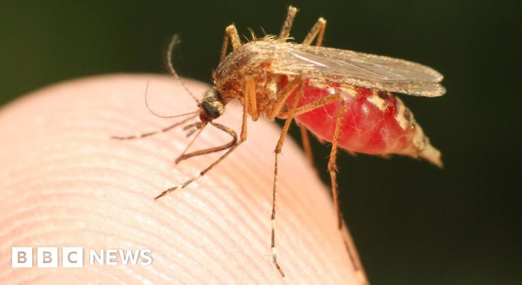 US Health Alert for malaria cases in Florida and Texas

