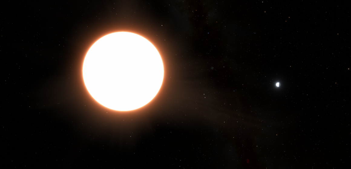 Exoplanet LTT9779 b orbiting its host star