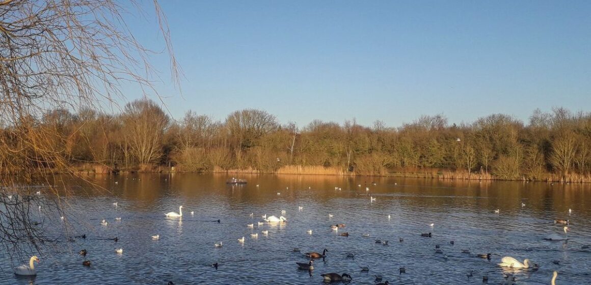 Inquest launched after body found in Derbyshire nature reserve

