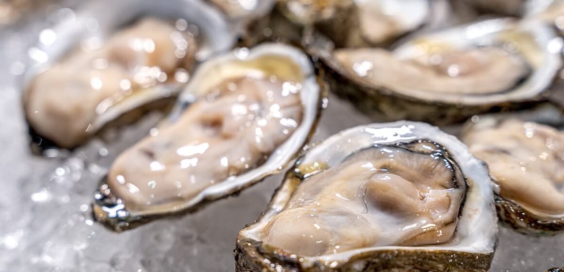 Texas man in his 30s dies from flesh-eating bacterial infection he caught from eating raw oysters