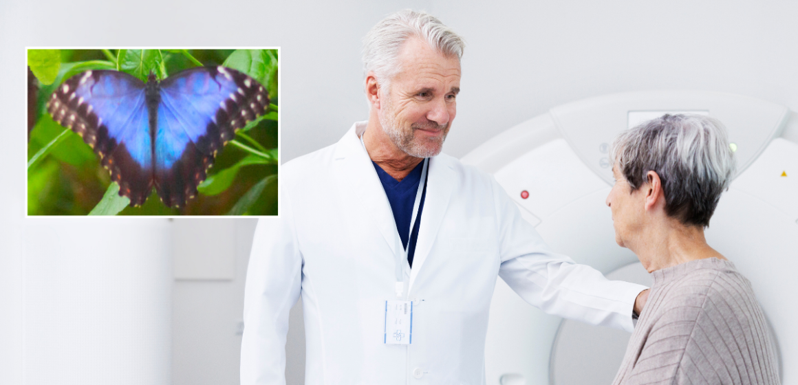 Butterflies could help doctors see new cancerous cells for the first time